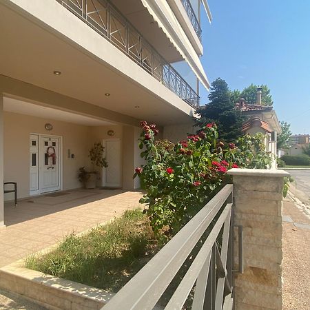 Cozy & Quiet City Apartment ตริกาลา ภายนอก รูปภาพ